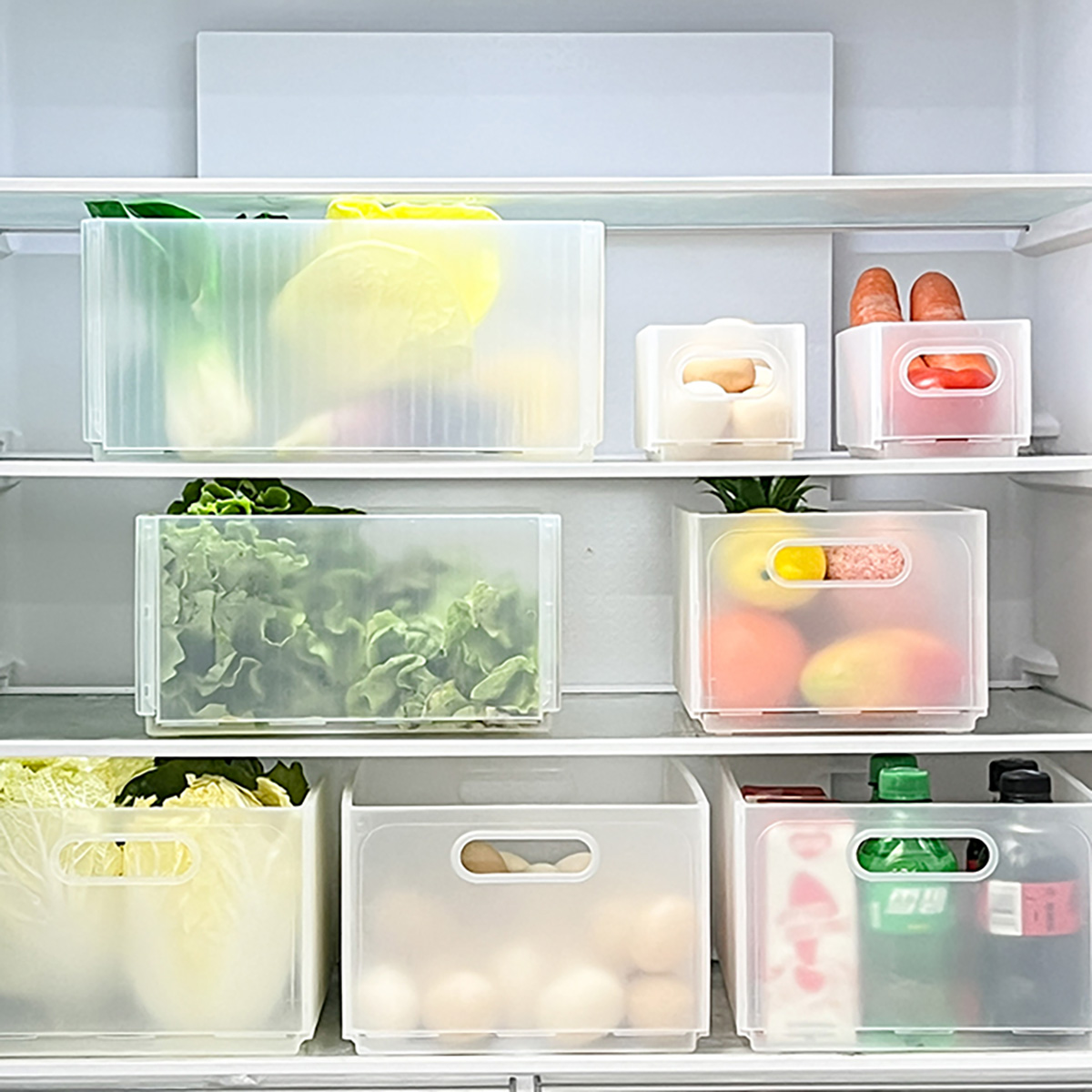 WORTHBUY Plastic Folding Fridg - Food Storage Without Plastic recension och pris