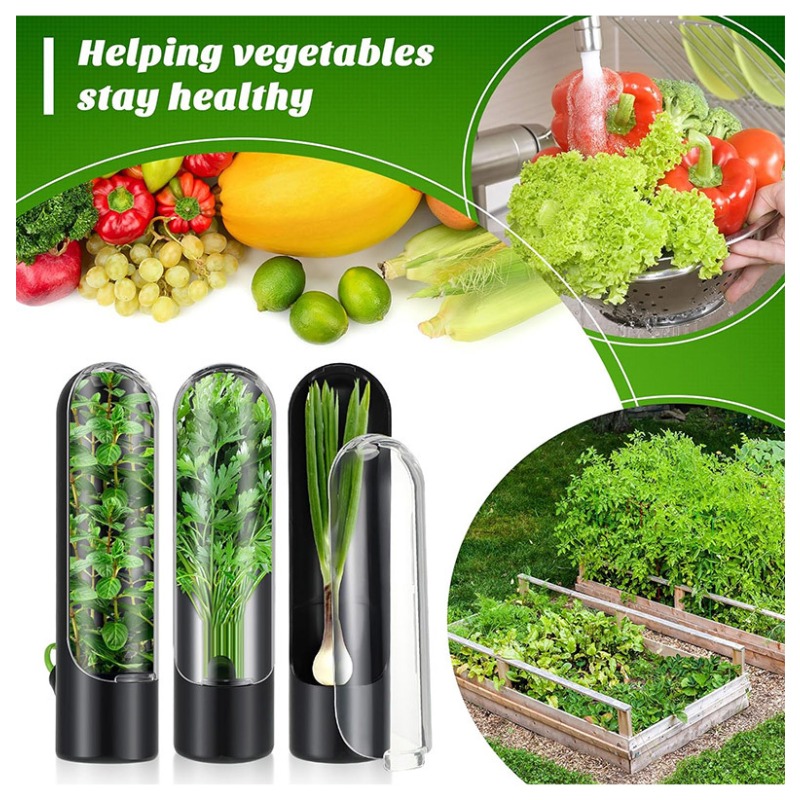 1/2/3PCS Herb Saver Storage Co - Herb Keeper Container recension och pris