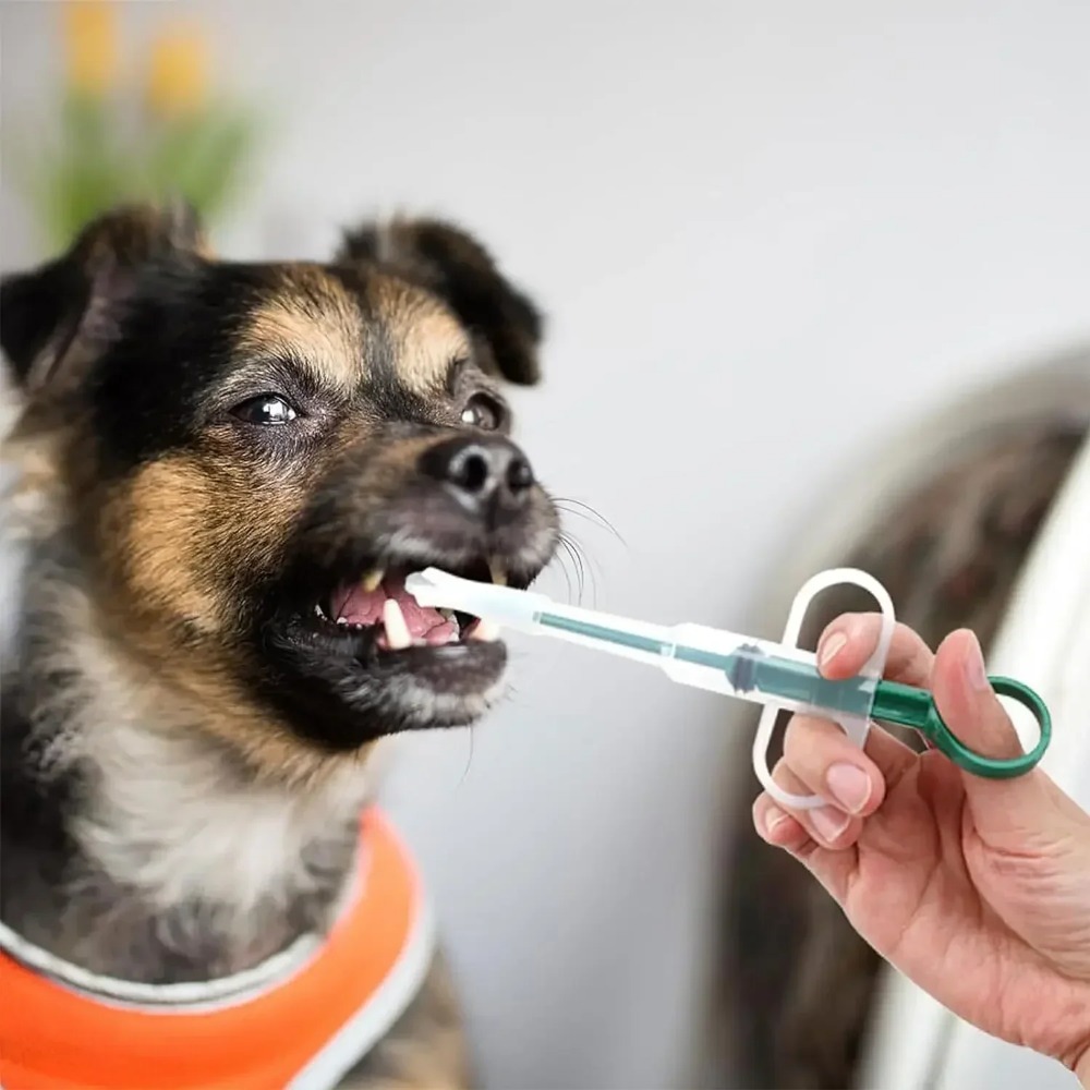 Dog Cat AccessoriesPet Syringe - Food Storage Youtube recension och pris