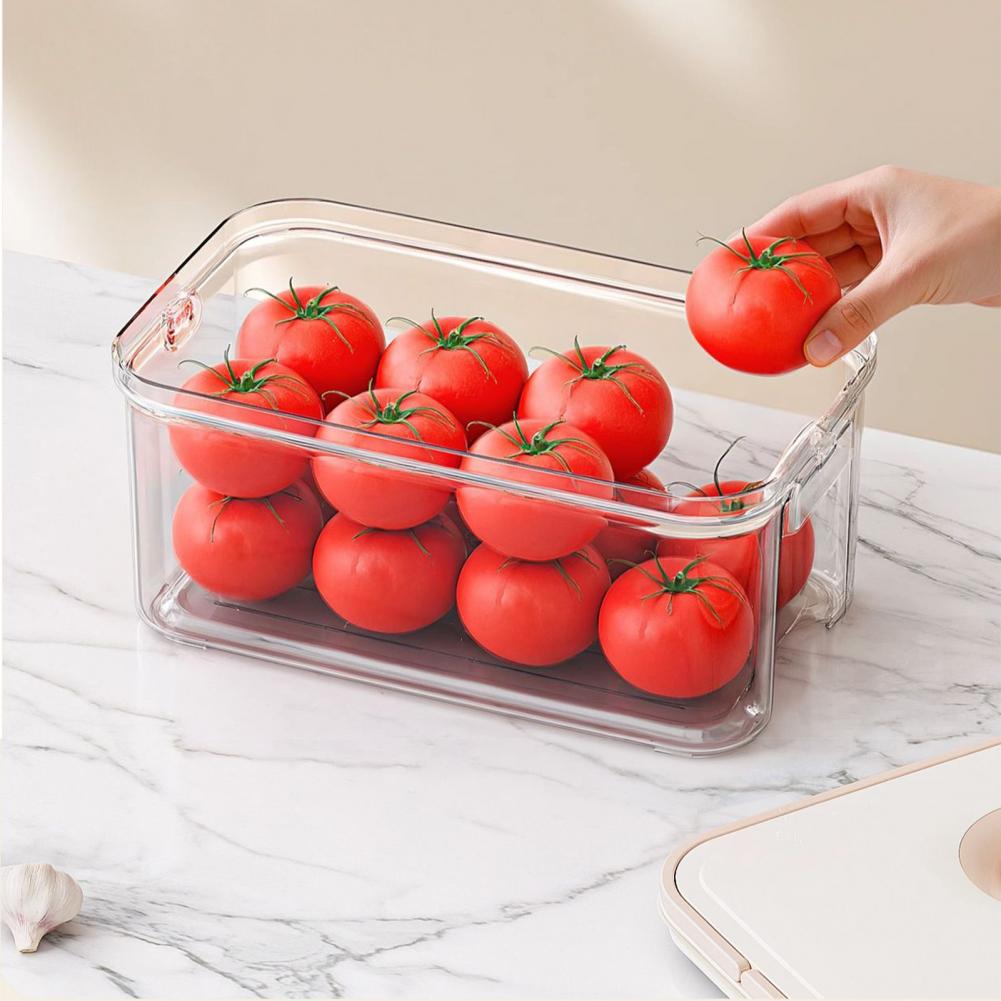Storage Box with Pull-out Laye - Food Storage Without Plastic recension och pris