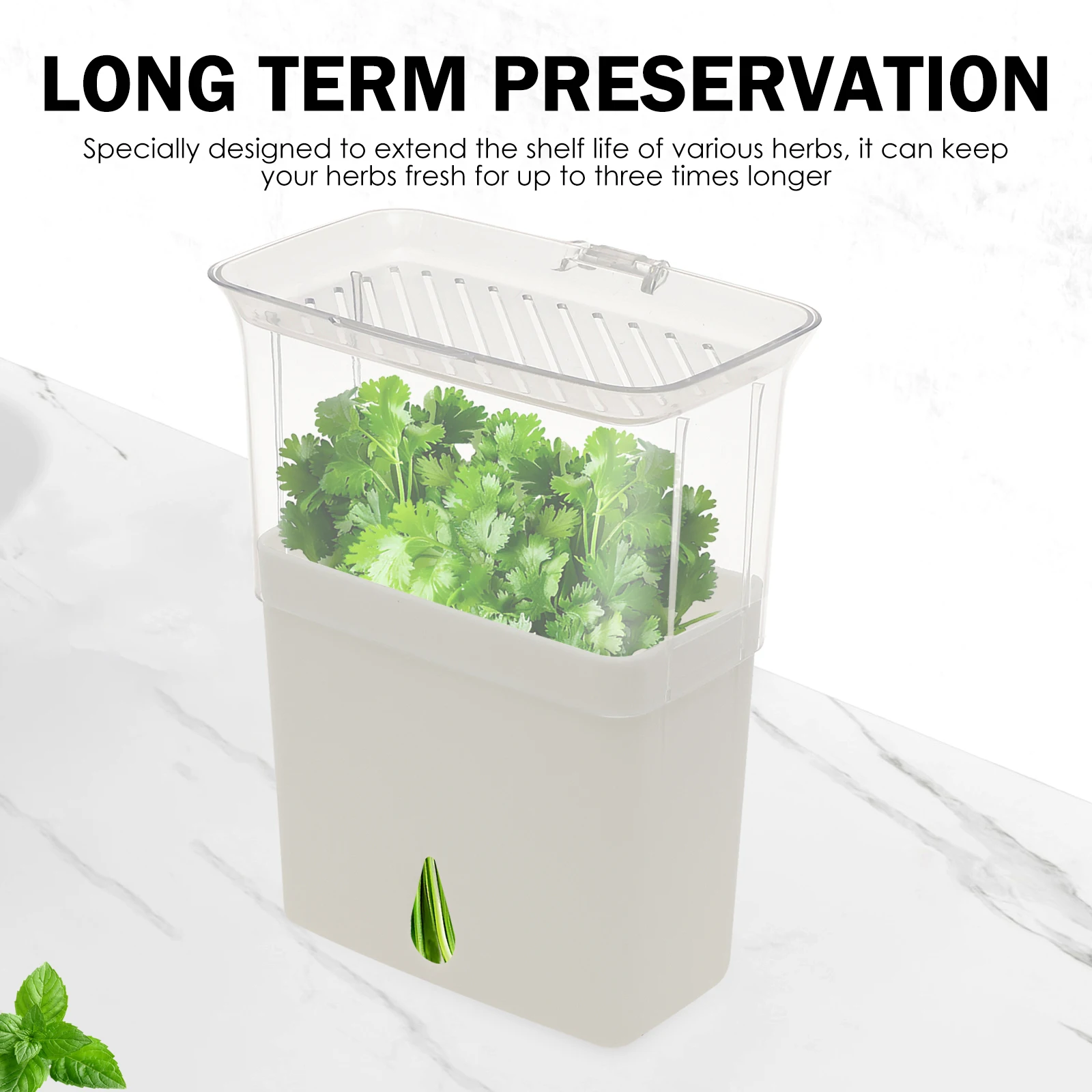 Clear Herb Saver Storage Conta - Herb Keeper Container recension och pris
