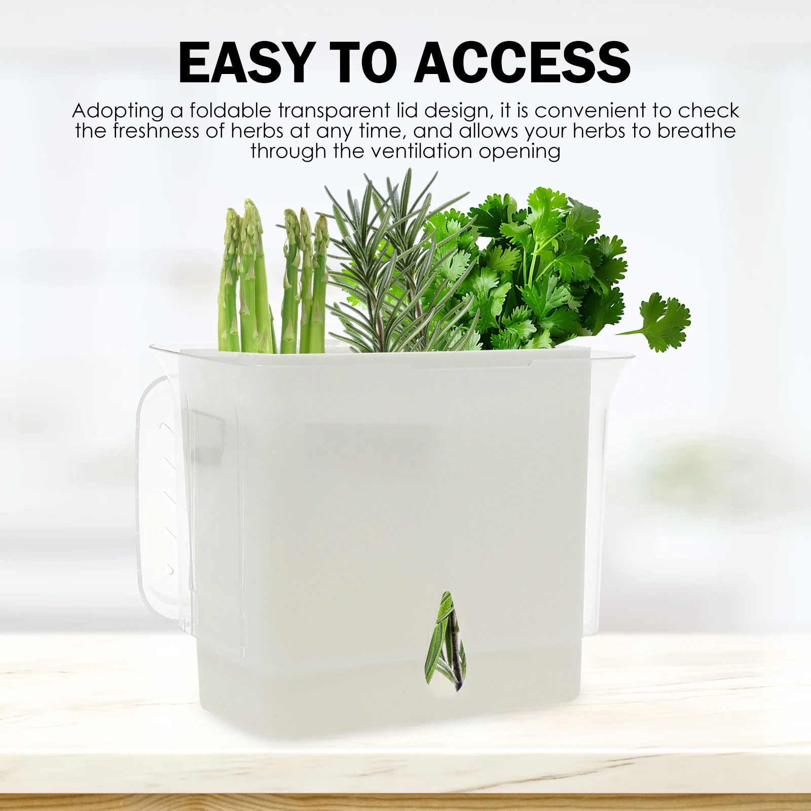 Clear Herb Saver Storage Conta - Herb Keeper Container recension och pris
